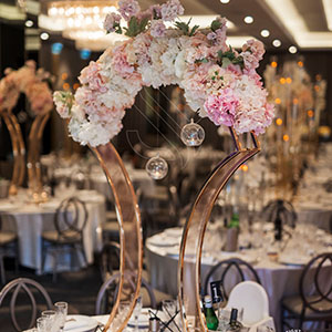 fiji indian wedding